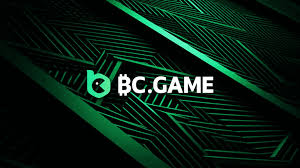 Everything You Need to Know About the BC App Lottery