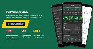 Explore the BetWinner Online Gambling Platform A Comprehensive Guide